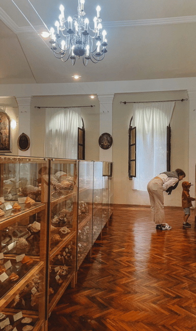 image n.2 of Cavtat: Shell Museum Entry Ticket with Guided Tour Option activity in Cavtat, uploaded by supplier