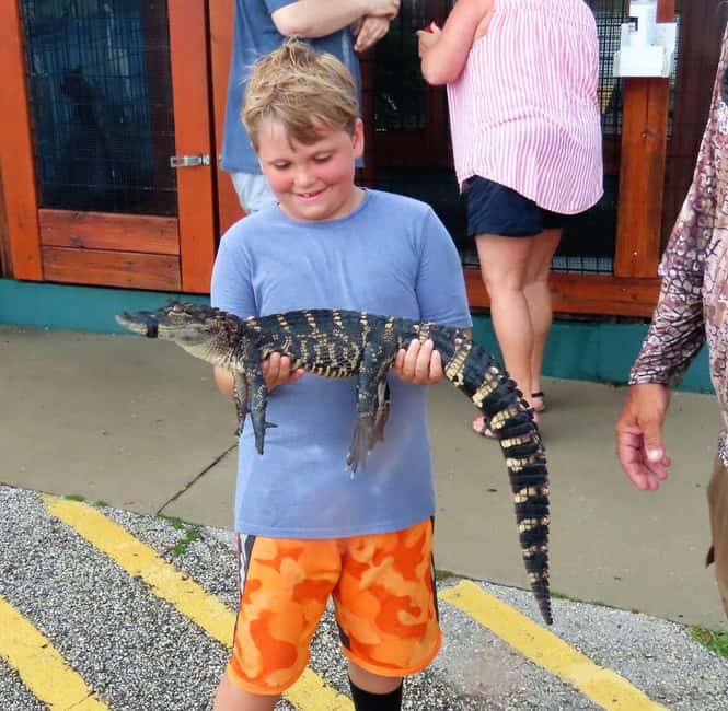 bild nr.3 av Port Canaveral: Airboat-tur i vilda djur med möte med alligatorer aktivitet i Florida, uppladdad av arrangören
