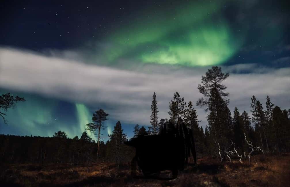 image n.14 of Saariselkä,Kakslauttanen: Aurora Hunting & Photography Tour. activity in Saariselkä, uploaded by supplier