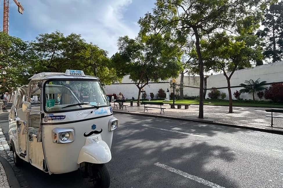 image n.16 of Madeira: Funchal Special Grand City Tuk-Tuk Tour by MadTuk activity in Funchal, uploaded by supplier