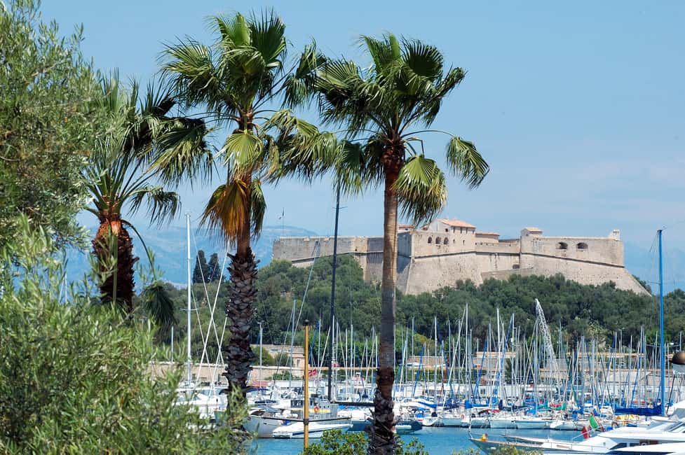 image n.15 of From Nice: Cannes, Antibes & Saint-Paul-de-Vence Tour activity in Cannes, uploaded by supplier