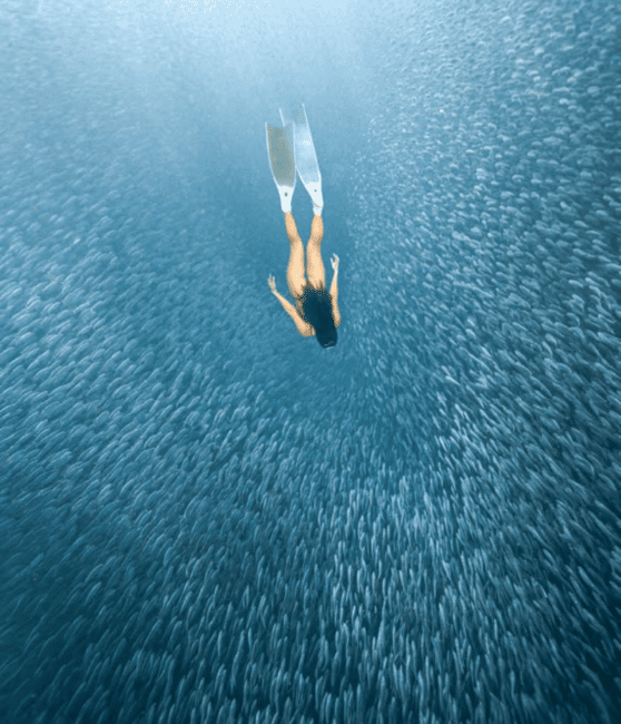 imagem n.11 de Cebu Oslob WhaleShark,Inambakan Falls& Moalboal Sardines Run atividade em Oslob, carregada pelo fornecedor