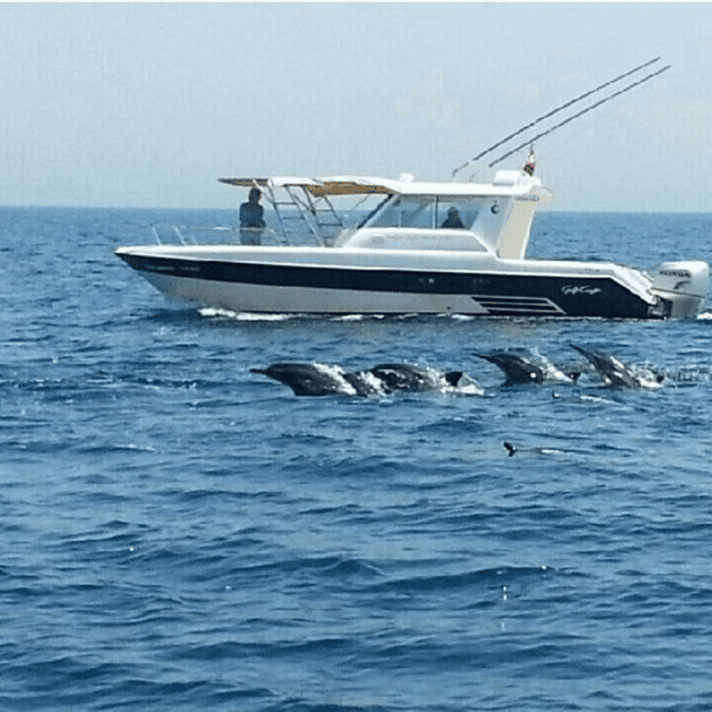 Immagine nº 6 di Muscat: gita in barca per l'osservazione dei delfini con snack e guida locale attività a Mascate, caricata dal fornitore