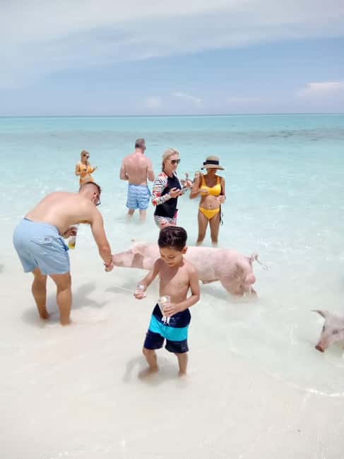 image n.16 of Nassau: 3 Islands Tour, Snorkel, Pig Beach, Turtles & Lunch activity in Berry Islands, uploaded by supplier