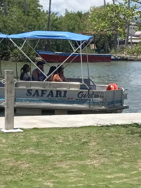 imagem n.8 de Jamaica: Tour guiado pelo Black River Safari e tour pelas Cataratas YS atividade em Montego Bay, carregada pelo fornecedor