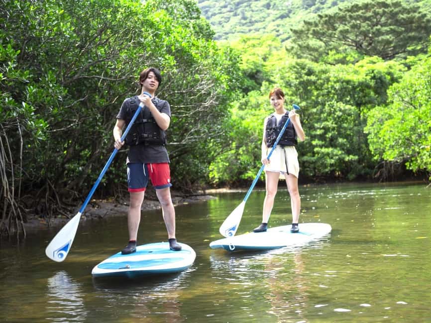 image n.4 of Iriomote island: Mangrove River SUP or Canoe Cruising Tour activity in Taketomi Island, uploaded by supplier