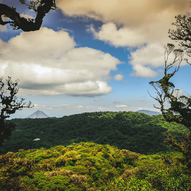 bild nr.12 av Privat transfer San José flygplats till/från Monteverde aktivitet i San José, Costa Rica, uppladdad av arrangören