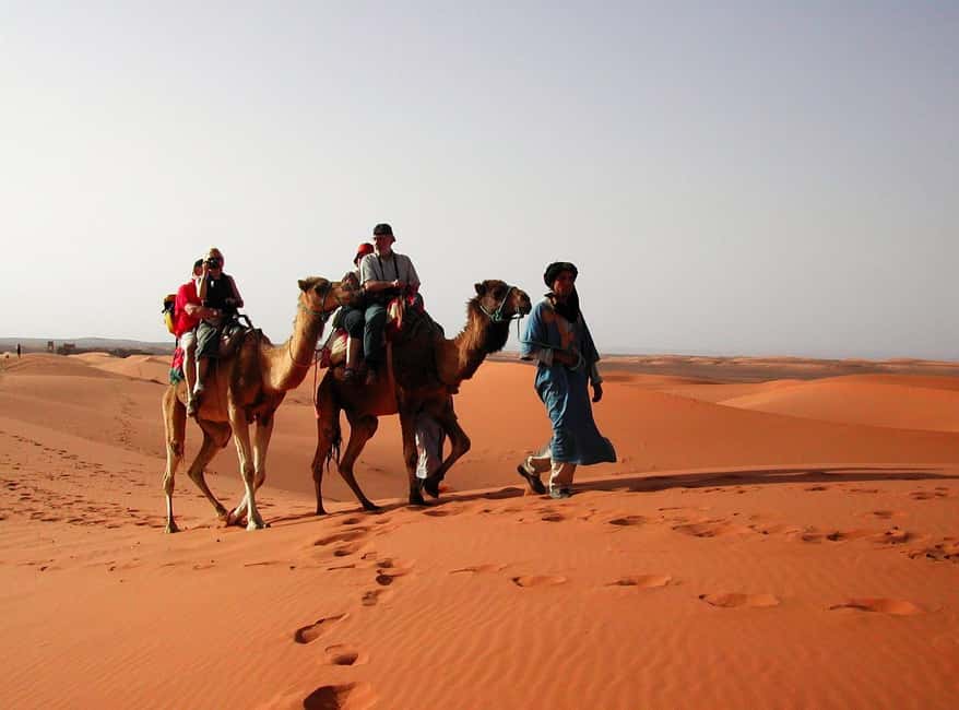 billede nr.20 af aktiviteten Privat tur i ørkenen i Casablanca 8 dage Grand Morocco Tour i Meknès, uploadet af udbyder