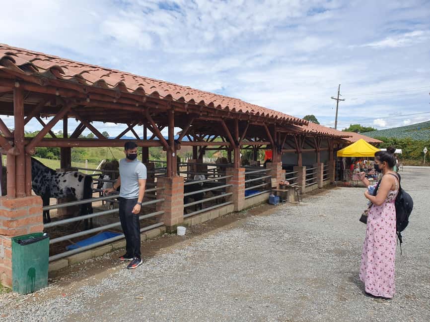 imagem n.7 de De Medellín: Tour particular à rocha El Peñón e à cidade de Guatapé atividade em Guatapé, carregada pelo fornecedor
