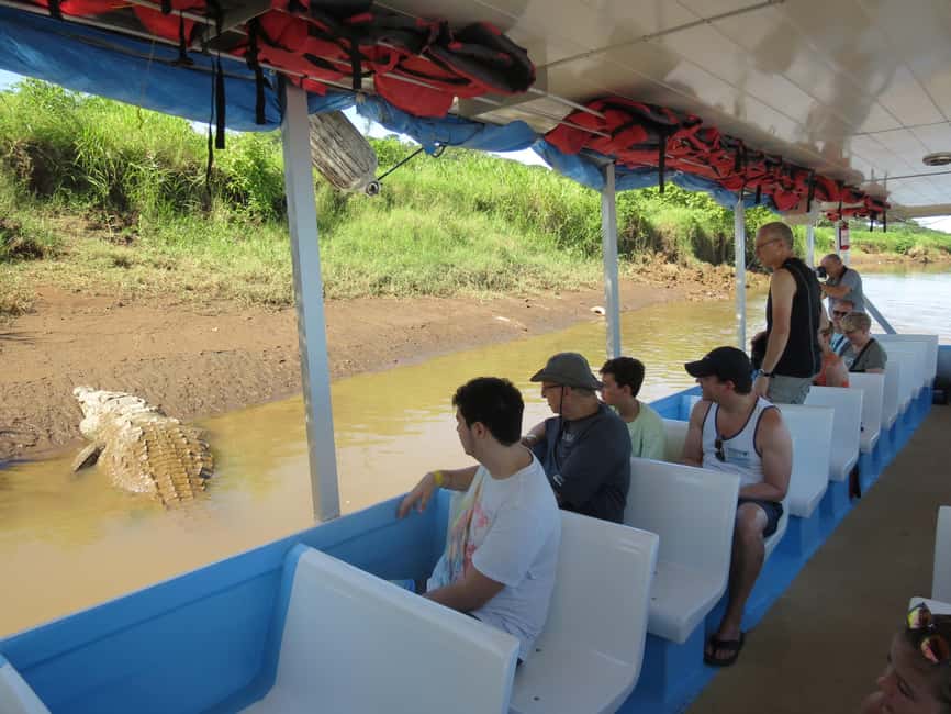 image n.8 of Tarcoles River: Jungle Crocodile Safari & Bird Watching Tour activity in San José, Costa Rica, uploaded by supplier