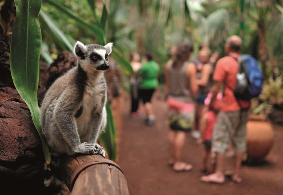 image n.6 of Fuerteventura: Oasis Wildlife Entry Ticket activity in La Lajita, uploaded by supplier