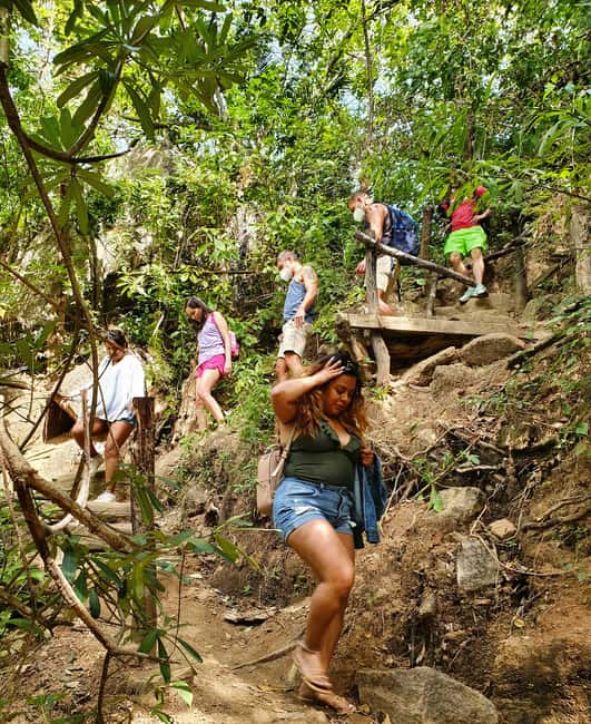 image n.14 of Puerto Vallarta: 4-Hour Jungle Hike and Waterfall Swim activity in Puerto Vallarta, uploaded by supplier