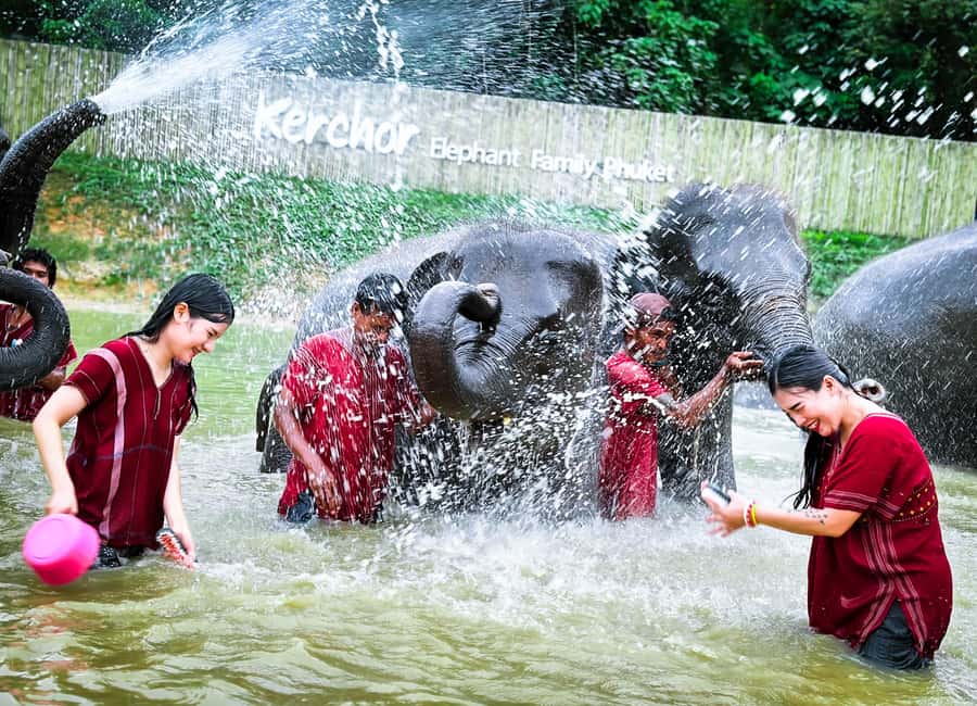 image n.13 of Phuket: Elephant Experience with Lunch or Dinner and Pickup activity in Phuket City, uploaded by supplier