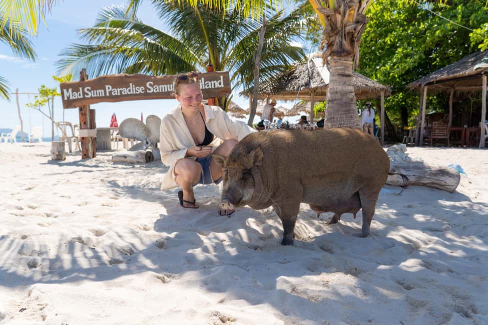 image n.8 of Koh Samui: Island Hopping Adventure in Coral and Pig Island activity in Gulf of Thailand, uploaded by supplier