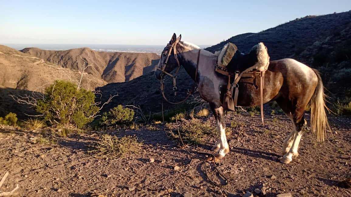 imagem n.26 de Mendoza: Passeios a cavalo nos Andes com churrasco autêntico atividade em Província de Mendoza, carregada pelo fornecedor