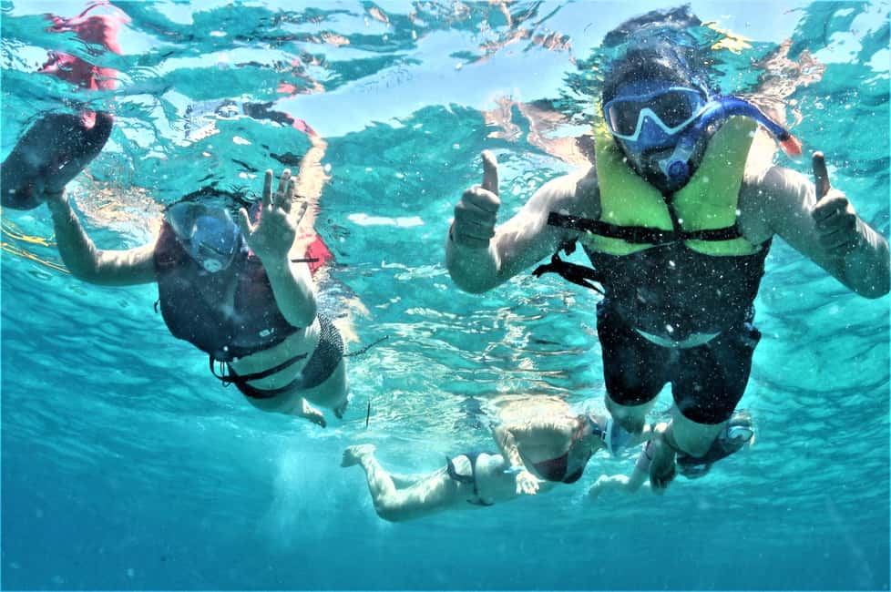 image n.25 of Ibiza: Snorkeling and SUP Paddle, Beach and Cave Tour activity in Sant Josep de sa Talaia, uploaded by supplier