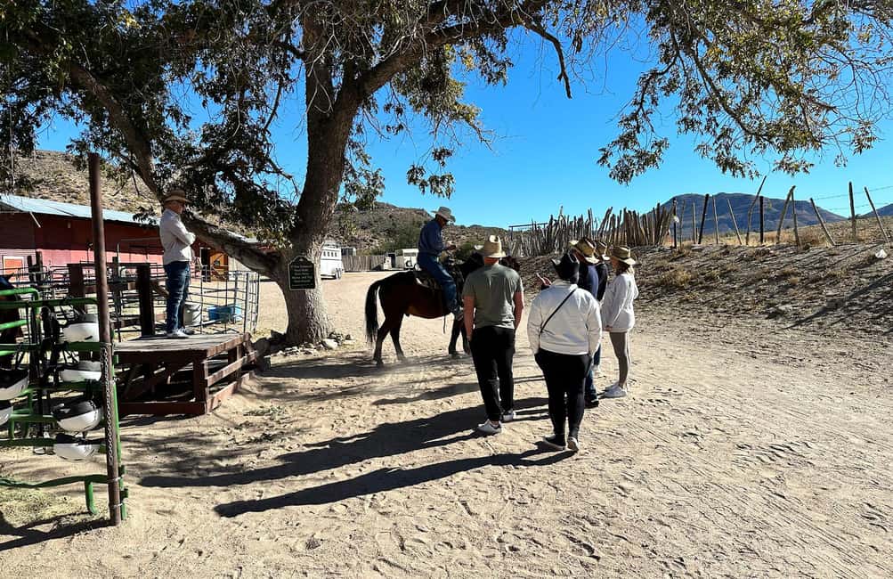 image n.23 of Horseback Ride thru Joshua Tree Forest with Buffalo & Lunch activity in Arizona, uploaded by supplier