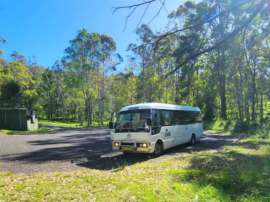 image n.34 of From Sydney: Blue Mountains Tour with Waterfall Walk & Lunch activity in Wentworth Falls, uploaded by supplier