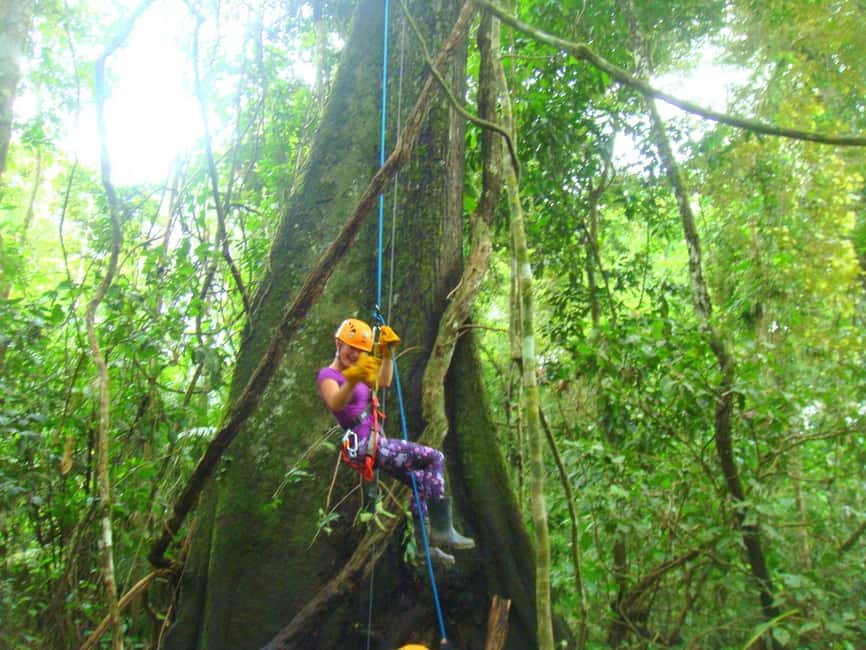 image n.14 of Iquitos: 3 Days and 2 Nights Guided Amazon Jungle Tour activity in Iquitos, uploaded by supplier