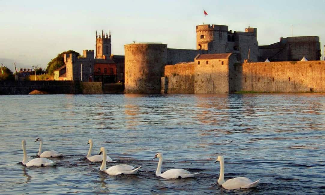 Obraz nr 2 z atrakcji Limerick: Wycieczka piesza po historycznym mieście i targu mlecznym w Limerick, przesłany przez organizatora