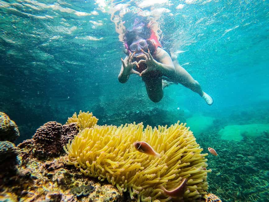 billede nr.9 af aktiviteten Koh Tao: Undervandsperler, øhop og snorkeleventyr i Thailandbugten, uploadet af udbyder