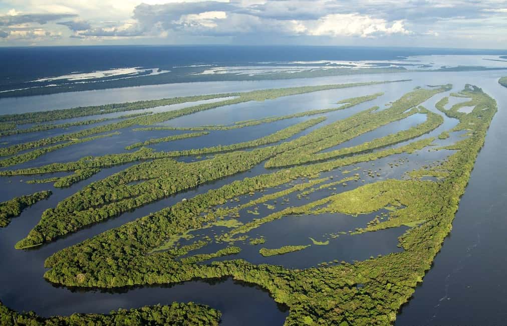 imagen n.º 1 de Manaus : Safari por el Archipiélago de Anavilhanas actividad en Región Norte, subida por el proveedor