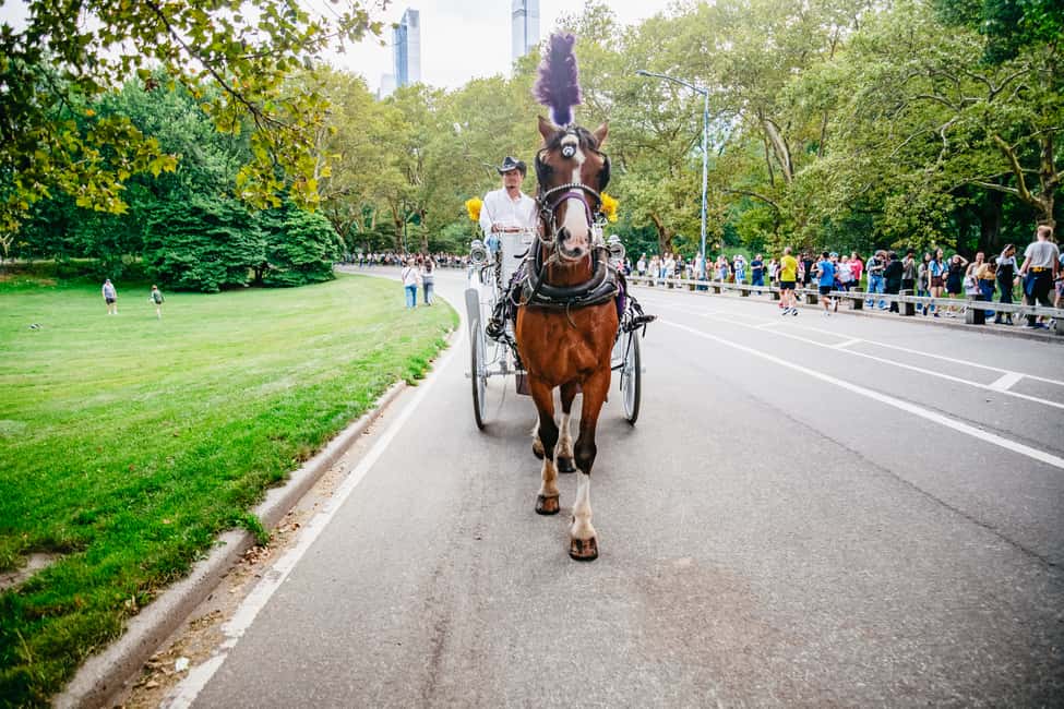 Bild Nr. 13 von NYC: Geführte Kutschfahrt im Central Park Aktivität in New York, hochgeladen vom Anbieter