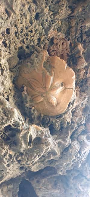 image n.19 of From Benagil: Benagil Caves Kayak Tour activity in Benagil, uploaded by supplier