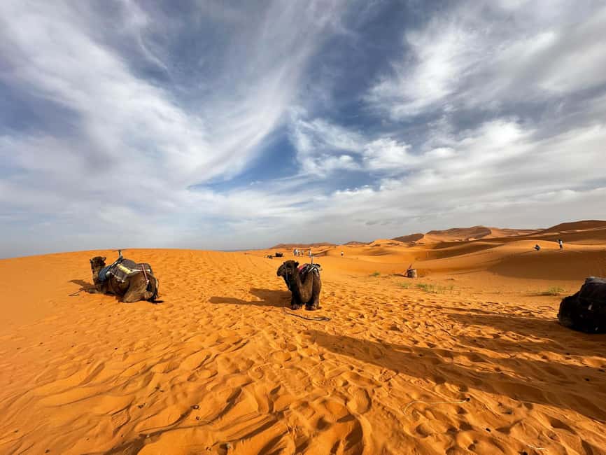 image n.67 of Marrakech/Ouarzazate: 2-Day Desert with Camel, 4x4 & Meals activity in Ait Benhaddou, uploaded by supplier