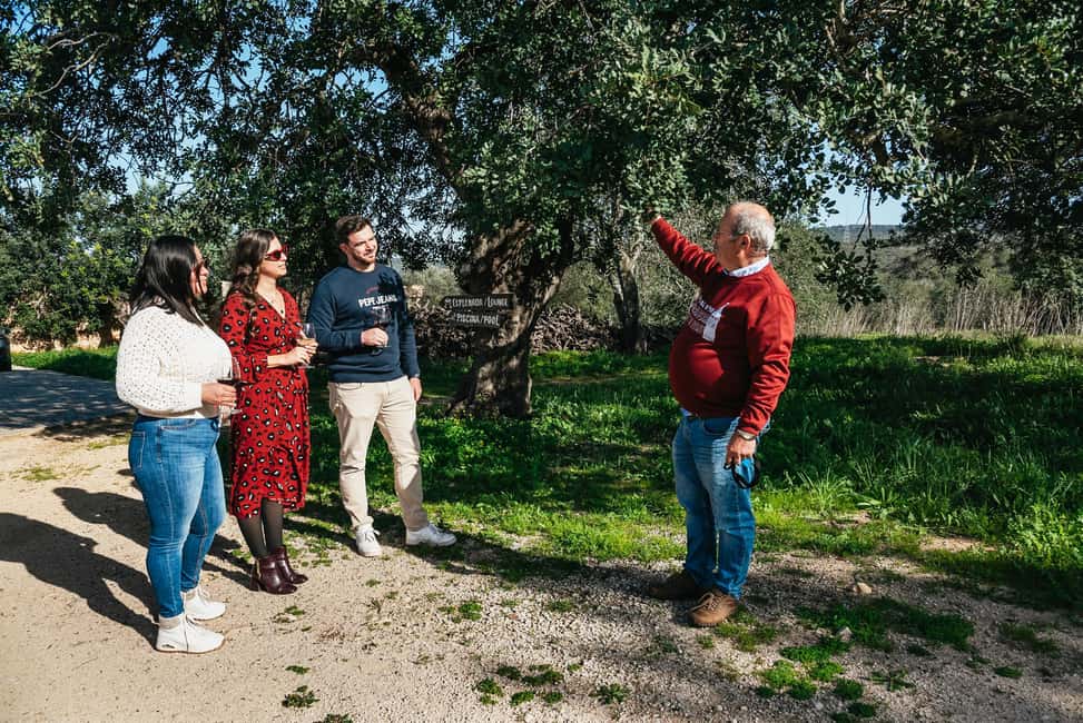imagem n.7 de Loulé: Visita guiada e degustação de vinhos na Quinta da Tôr atividade em Loulé, carregada pelo fornecedor