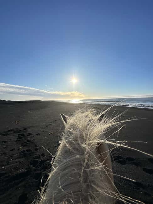 imagen n.º 5 de sur de Islandia: Excursión a caballo por la playa negra actividad en Hvolsvöllur, subida por el proveedor