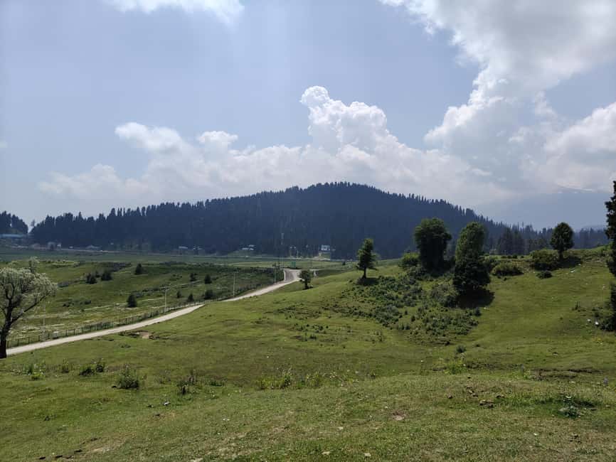 image n.8 of Srinagar: Gulmarg Day Tour - Explore the Meadow of Flowers activity in Jammu and Kashmir, uploaded by supplier