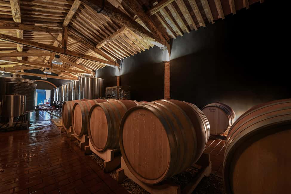imagen n.º 5 de Siena: Visita a una bodega ecológica y cata de vinos actividad en Siena, subida por el proveedor