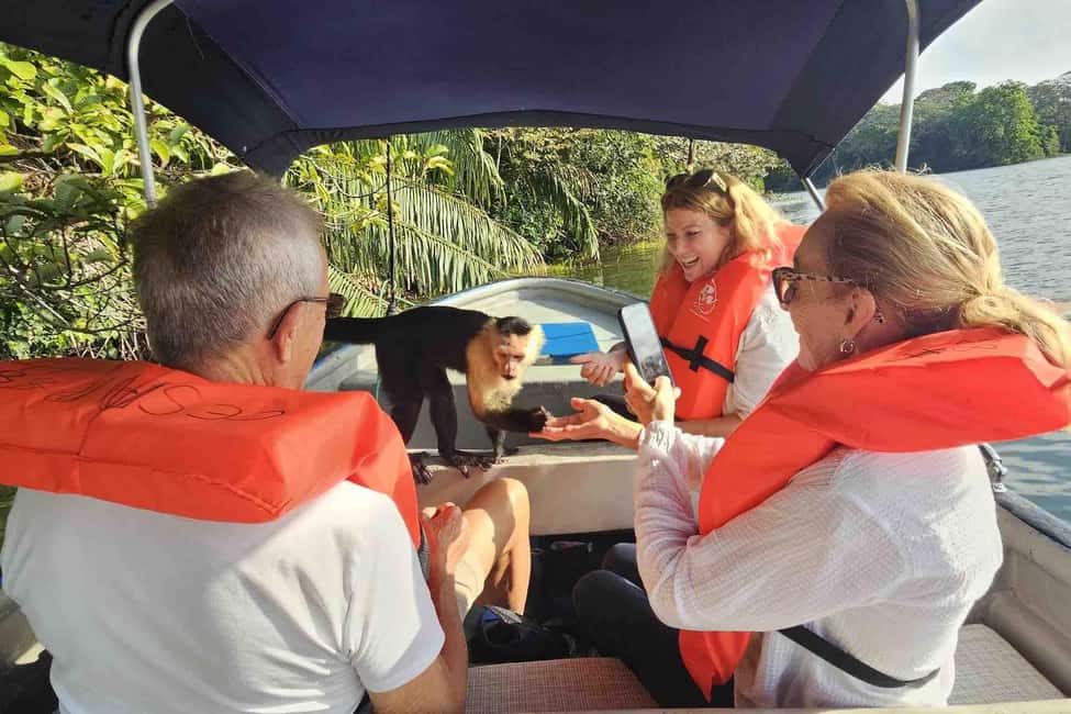 image n.4 of Panama: Monkey Island, Sloth Sanctuary and Panama Canal Tour activity in Colón Province, uploaded by supplier
