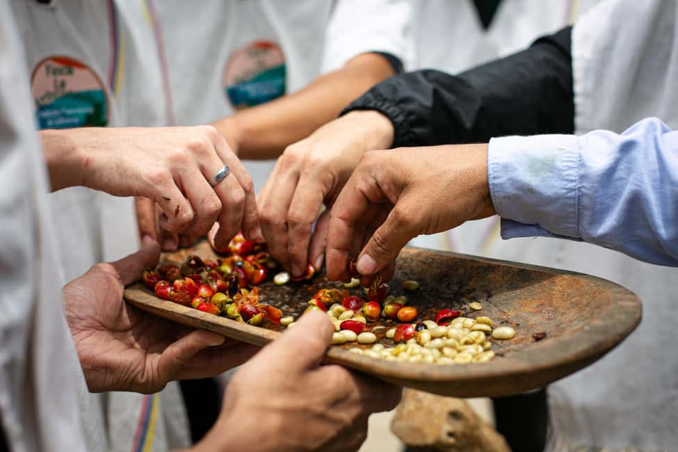 imagem n.26 de Medellín: Tour do café, chegada a cavalo e cana-de-açúcar atividade em Medellín, carregada pelo fornecedor