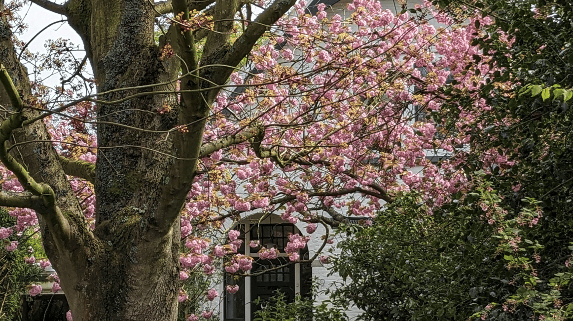 image n.6 of From Haamstede to Burgh: guided Walking Tour activity in Burgh-Haamstede, uploaded by supplier