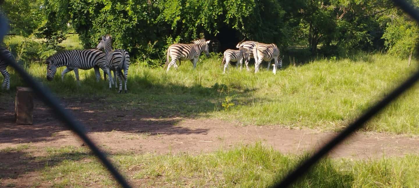 image n.20 of 10 DAYS HISTORY AND ADVENTURE TOUR activity in Accra, uploaded by supplier