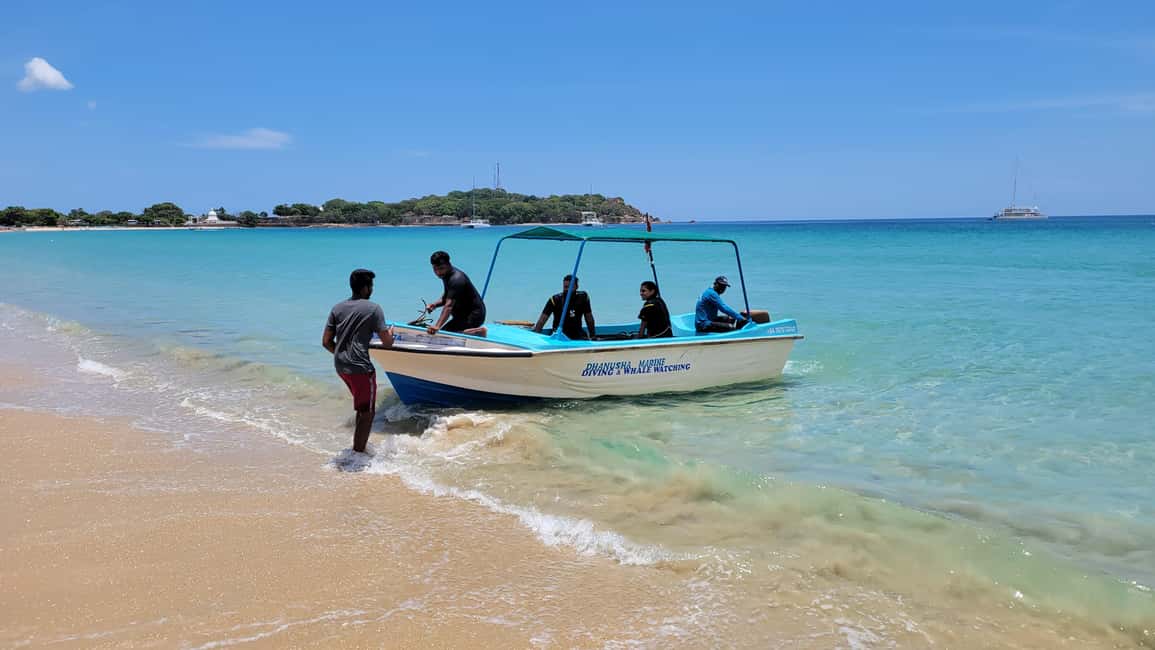 image n.6 of Trincomalee: Whales & Dolphin Watching Tours activity in Nilaveli, uploaded by supplier