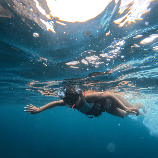 image n.26 of Tenerife: Kayak & Snorkel Tour with Snacks & Sea Life Safari activity in Telde, uploaded by supplier