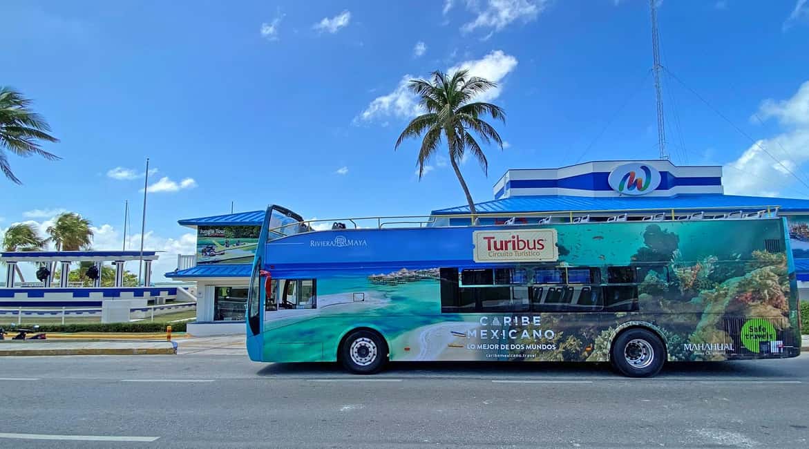 Obraz nr 8 z atrakcji Cancun: Wycieczka autobusowa hop-on hop-off i atrakcje turystyczne w Cancún, przesłany przez organizatora