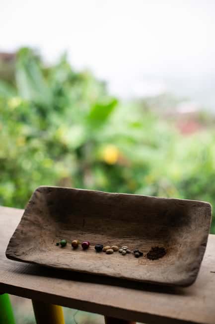 imagem n.27 de Medellín: Tour do café, chegada a cavalo e cana-de-açúcar atividade em Medellín, carregada pelo fornecedor