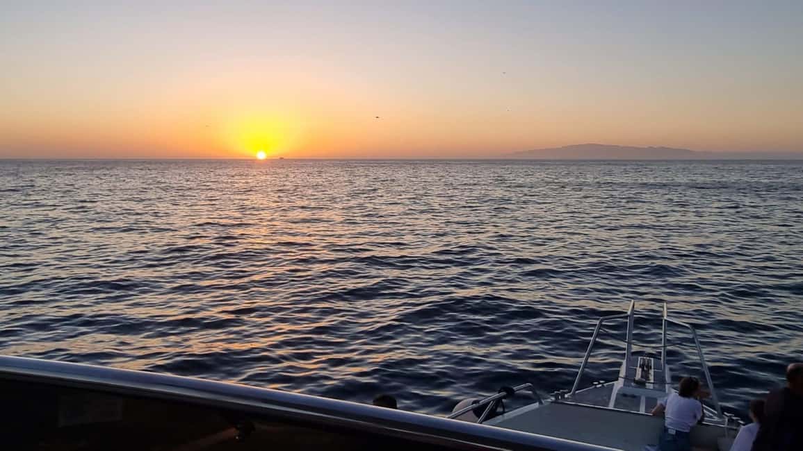 image n.9 of Los Cristianos: Eco Yacht Whale Watching Tour at Sunset activity in Canary Islands, uploaded by supplier