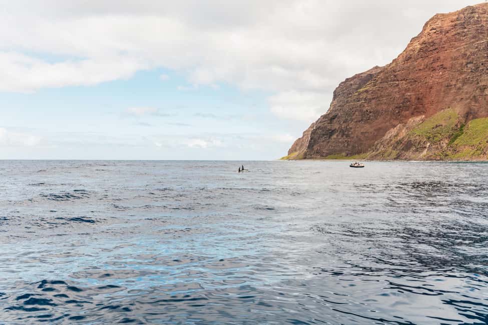 image n.15 of Kauai: Napali Coast Sunset Sailboat Tour with Dinner activity in Kapaʻa, uploaded by supplier