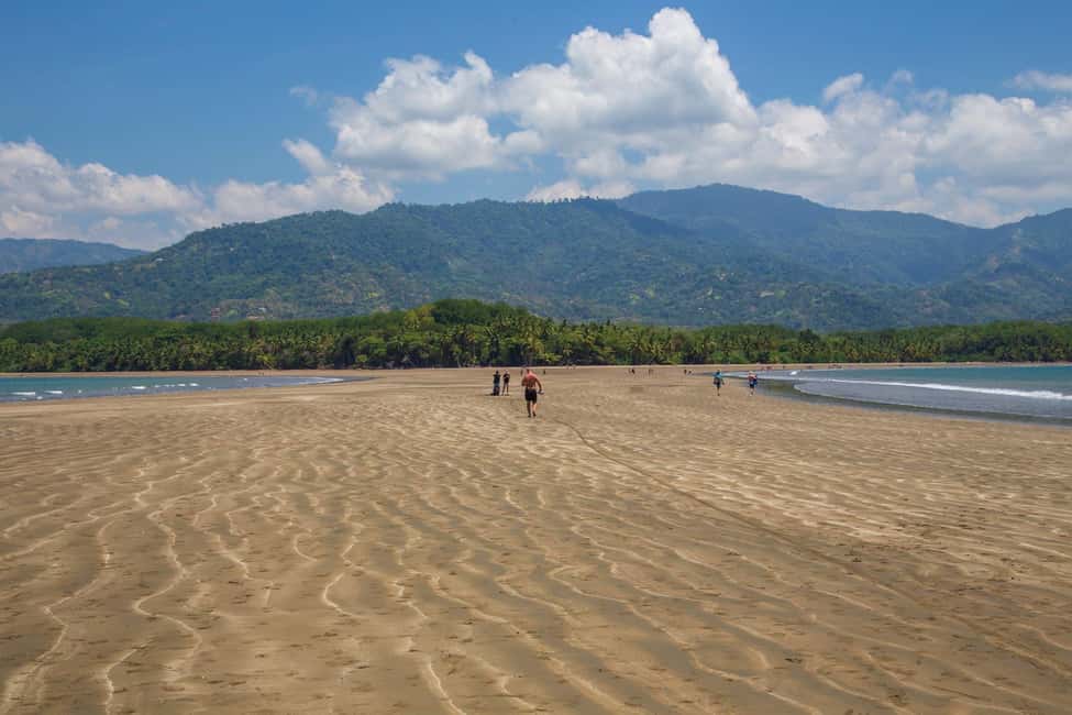 image n.7 of Uvita: Marino Ballena National Park Whale-Watching Tour activity in Jaco, uploaded by supplier