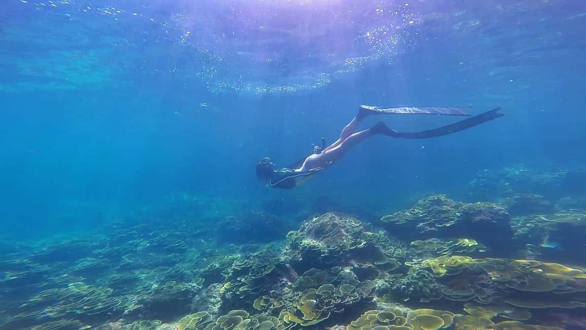 billede nr.21 af aktiviteten Krabi: Premium 4-ø dagsudflugt med longtailbåd med frokost i Thailandbugten, uploadet af udbyder