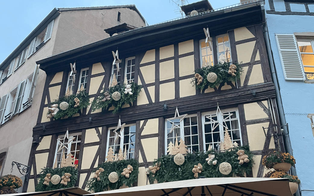 imagem n.7 de Estrasburgo: excursão a pé pelos mercados de Natal com vinho quente atividade em Estrasburgo, carregada pelo fornecedor
