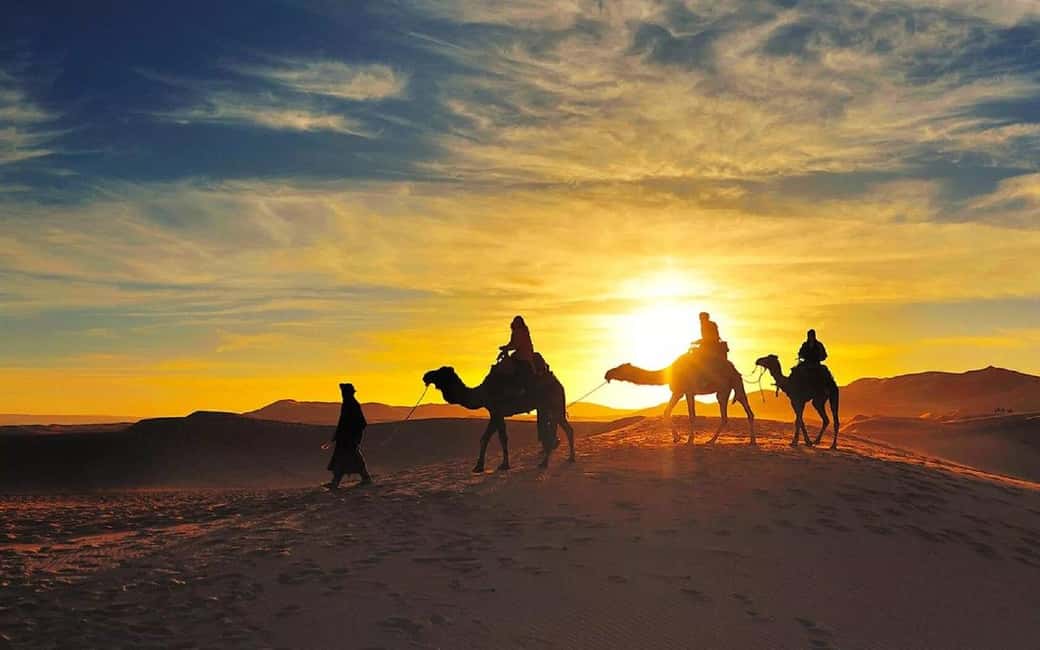 Image N°10 de Au départ de Fès : 2 jours d'excursion de luxe dans le désert à Marrakech et retour à Fès activité à Drâa-Tafilalet, publiée par le prestataire