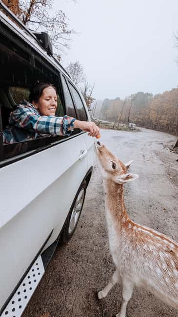 imagem n.27 de Otava: Safari privado de aventura na vida selvagem no Parc Omega atividade em Montebello, carregada pelo fornecedor