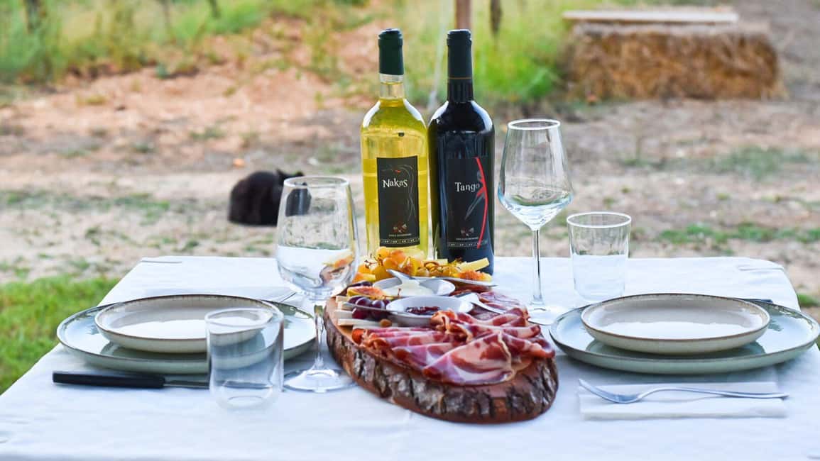 Immagine nº 8 di Alghero: degustazione vini con aperitivo locale in vigna attività a Alghero, caricata dal fornitore