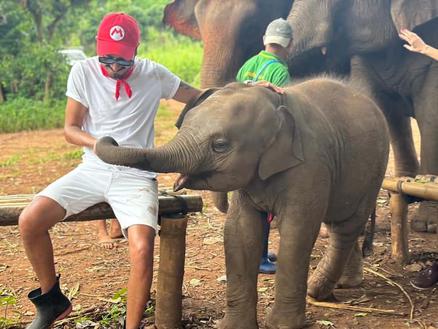 image n.35 of Chiang Mai: Elephant Sanctuary, Waterfall & Bamboo Rafting activity in Chiang Mai, uploaded by supplier